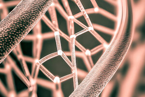 Zastosowanie nanotechnologii w remediacji gruntu