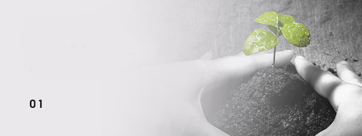 Badania zanieczyszczeń gruntu