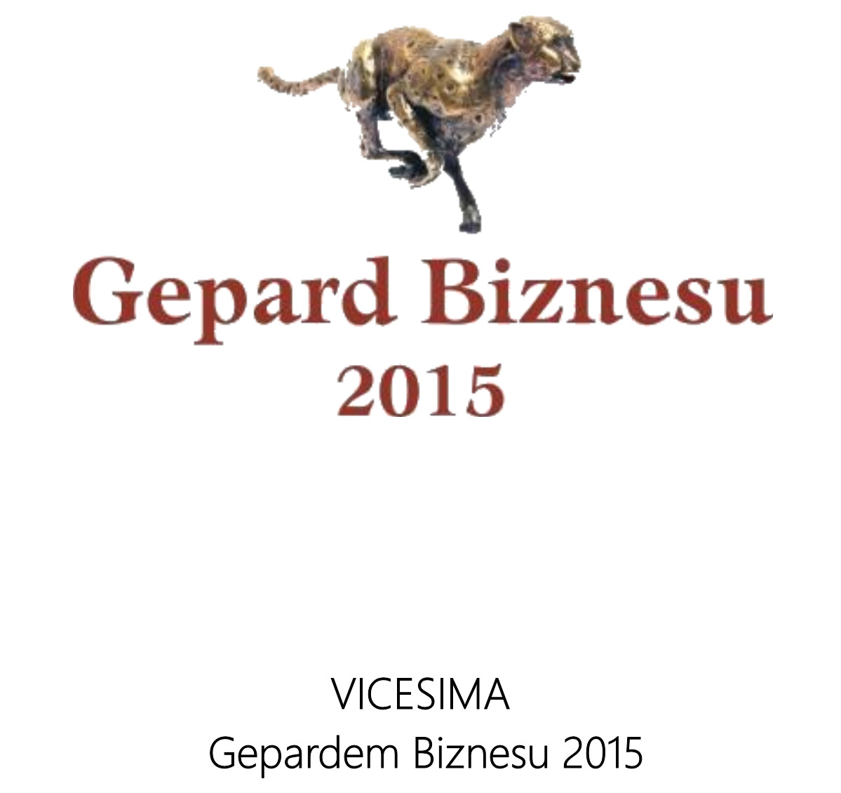 Gepard Biznesu