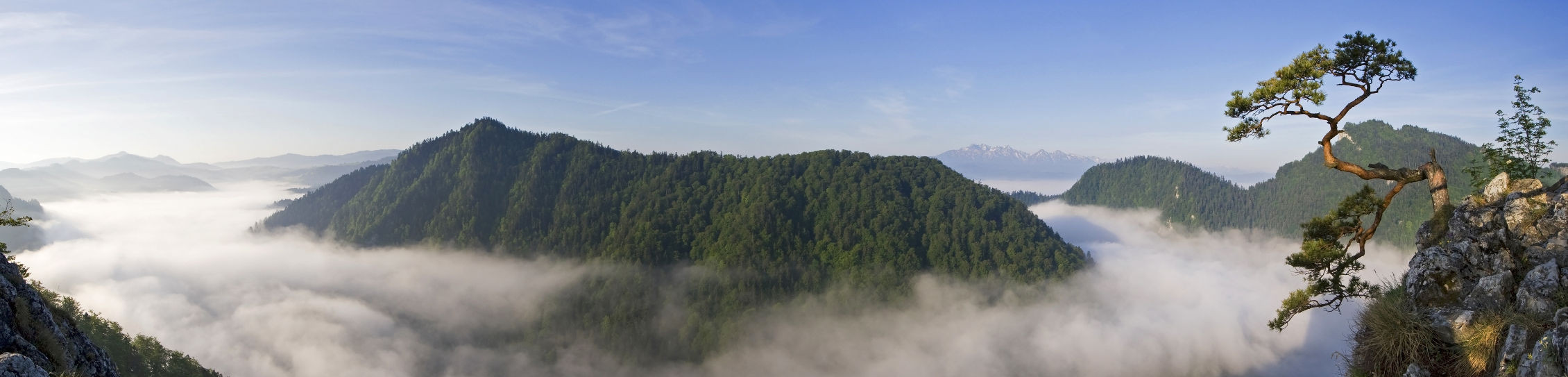 Ochrona przyrody – Natura 2000